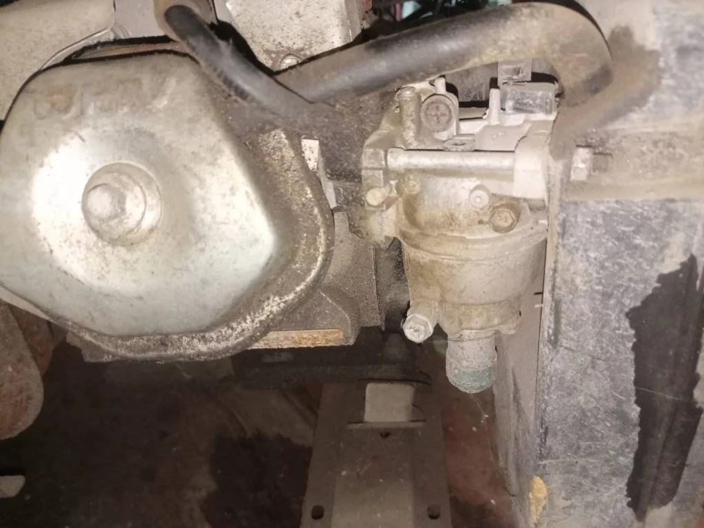 photo 5291962444333313270 y